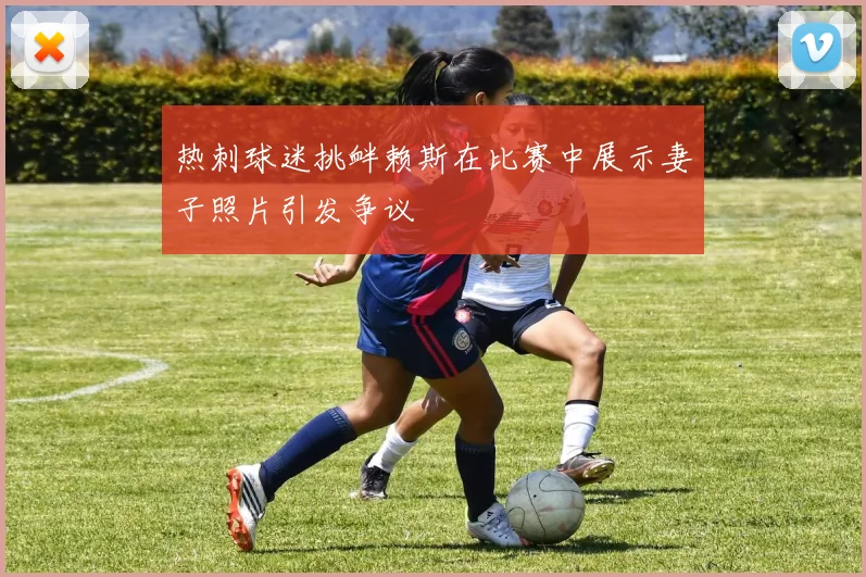 热刺球迷挑衅赖斯在比赛中展示妻子照片引发争议