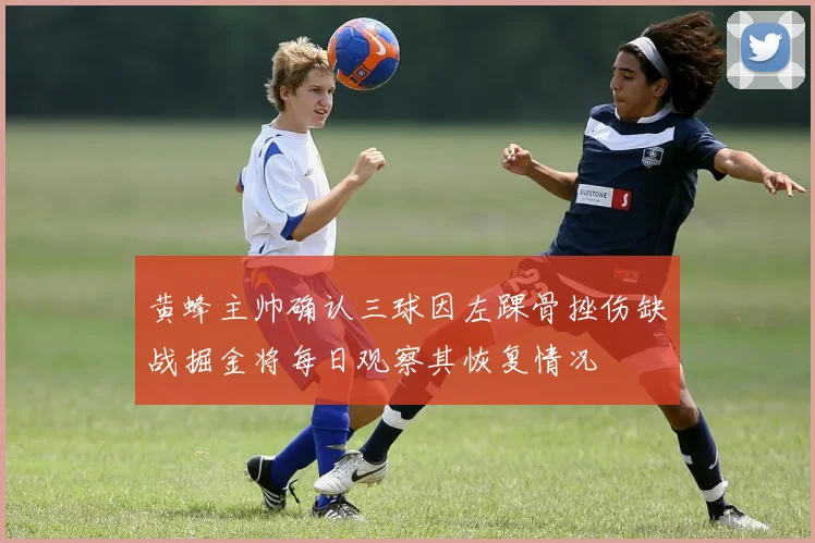 黄蜂主帅确认三球因左踝骨挫伤缺战掘金将每日观察其恢复情况